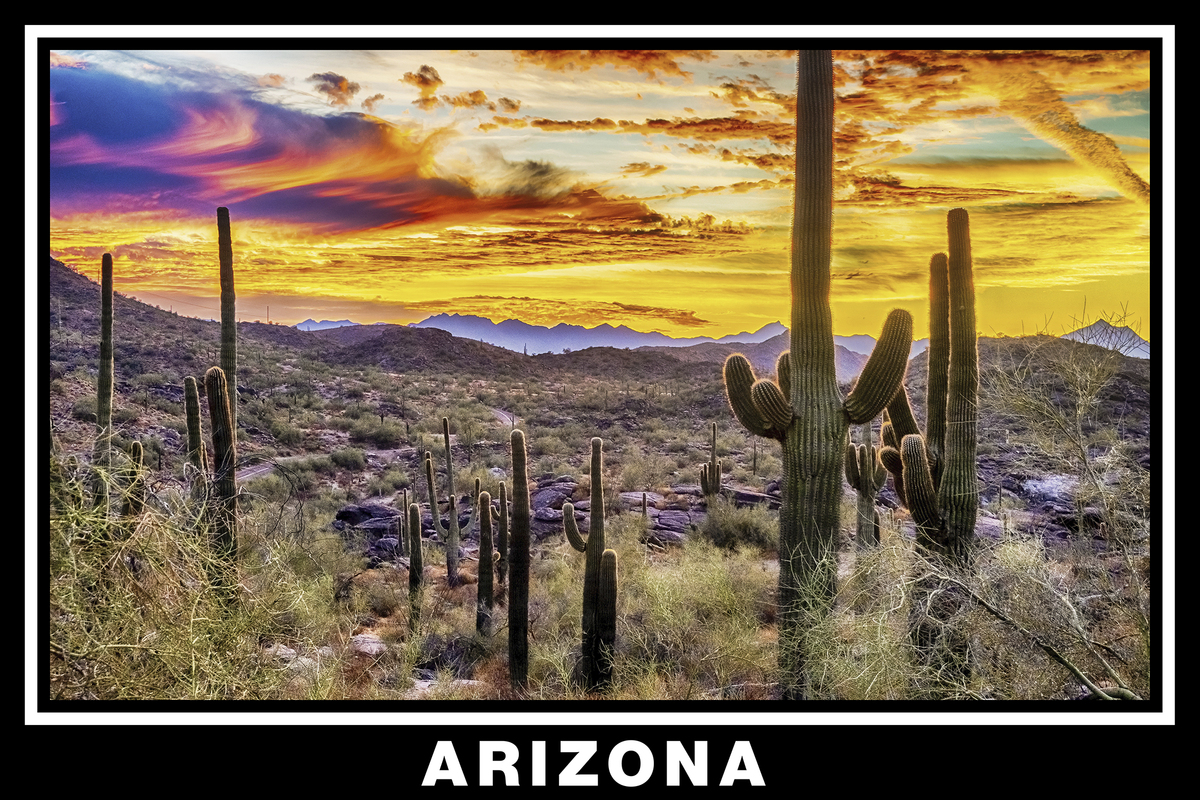 Arizona Desert Poster Black Border Poster Print