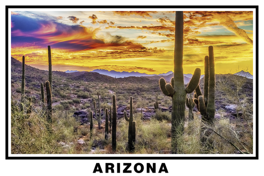 Arizona Desert Poster White Border Poster Print