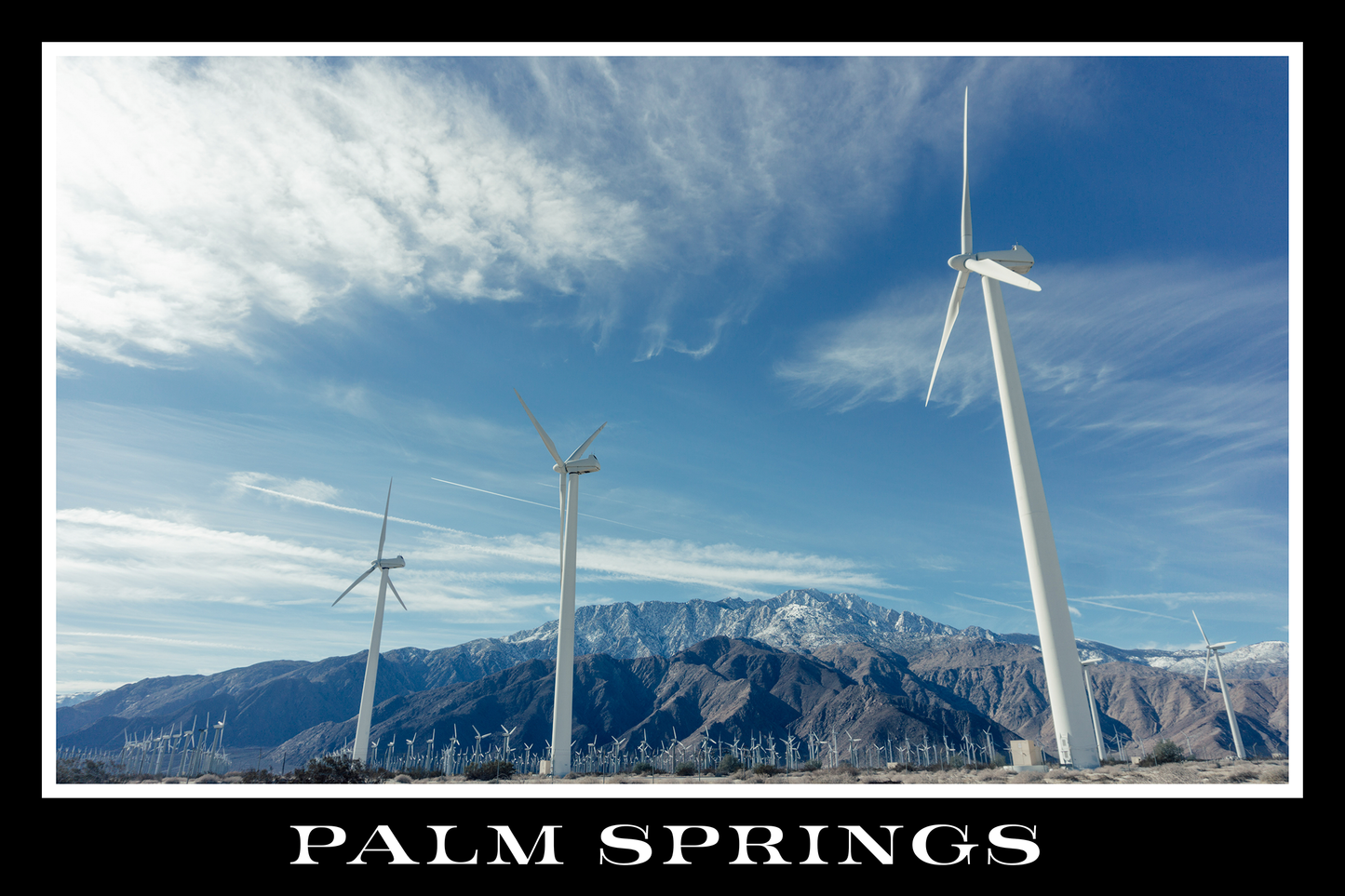 Palm Springs Windmills Black Border Poster Print