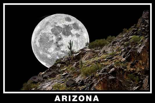 Arizona Desert Moon Black Border Poster Print