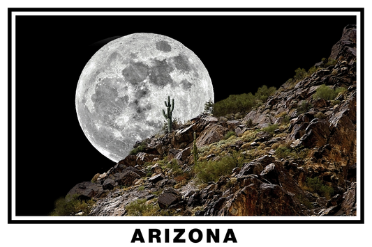 Arizona Desert Moon White Border Poster Print